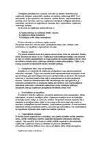 Referāts 'Stratēģiskās plānošanas process uzņēmumā', 14.