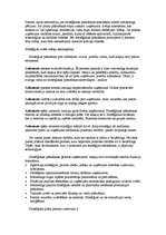 Referāts 'Stratēģiskās plānošanas process uzņēmumā', 15.