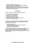 Referāts 'Stratēģiskās plānošanas process uzņēmumā', 16.