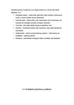 Referāts 'Stratēģiskās plānošanas process uzņēmumā', 17.