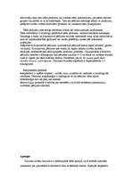 Referāts 'Stratēģiskās plānošanas process uzņēmumā', 21.