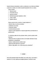 Referāts 'Stratēģiskās plānošanas process uzņēmumā', 22.