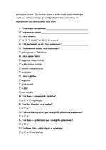 Referāts 'Stratēģiskās plānošanas process uzņēmumā', 23.