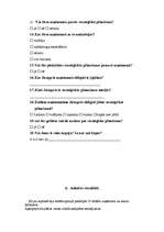 Referāts 'Stratēģiskās plānošanas process uzņēmumā', 24.