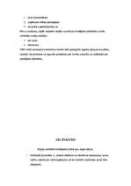 Referāts 'Stratēģiskās plānošanas process uzņēmumā', 27.