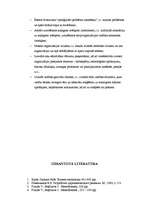 Referāts 'Stratēģiskās plānošanas process uzņēmumā', 28.