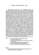 Referāts 'Latvija 20.–30.gados', 3.