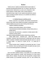 Referāts 'Kādas sekas rada valdības budžeta deficīts?', 2.