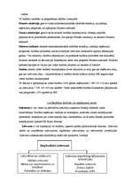 Referāts 'Kādas sekas rada valdības budžeta deficīts?', 5.