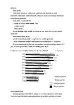 Referāts 'Kādas sekas rada valdības budžeta deficīts?', 11.