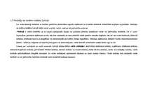 Referāts 'Kādas sekas rada valdības budžeta deficīts?', 16.