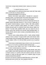 Referāts 'Kādas sekas rada valdības budžeta deficīts?', 20.