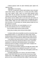 Referāts 'Kādas sekas rada valdības budžeta deficīts?', 21.