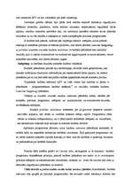 Referāts 'Kādas sekas rada valdības budžeta deficīts?', 22.