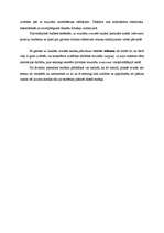 Referāts 'Kādas sekas rada valdības budžeta deficīts?', 23.