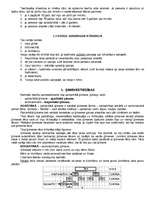 Konspekts 'Romiešu civiltiesības', 4.