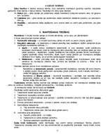 Konspekts 'Romiešu civiltiesības', 11.