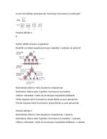 Konspekts 'Šūnu vairošanās', 4.