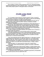 Referāts 'Internets kā alternatīvs saskarsmes veids', 3.