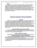 Referāts 'Internets kā alternatīvs saskarsmes veids', 6.