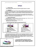 Referāts 'Internets kā alternatīvs saskarsmes veids', 7.