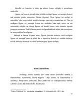 Diplomdarbs 'Autortiesības un blakustiesības', 39.