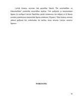 Diplomdarbs 'Autortiesības un blakustiesības', 66.