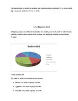 Referāts 'Studenta budžets', 8.