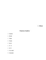 Referāts 'Studenta budžets', 13.