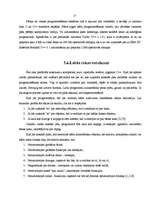 Referāts 'Programmēšanas valodas C++ pielietojums uzņēmējdarbībā', 21.