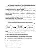 Referāts 'Programmēšanas valodas C++ pielietojums uzņēmējdarbībā', 24.