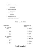 Konspekts 'Morfoloģija', 4.