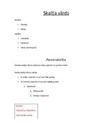 Konspekts 'Morfoloģija', 6.