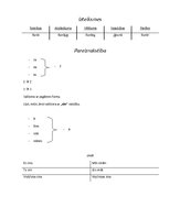 Konspekts 'Morfoloģija', 9.
