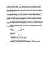 Referāts 'Renesanses laikmeta filosofija', 4.