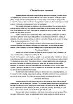 Referāts 'Renesanses laikmeta filosofija', 5.