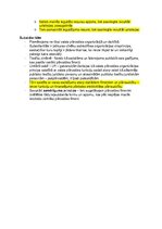 Konspekts 'Valsts pārvaldes institucionālā sistēma', 7.