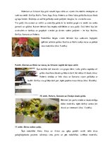 Diplomdarbs 'Vidējā pirmsskolas vecuma bērnu pašapkalpošanās prasmju sekmēšana rokdarbos', 42.