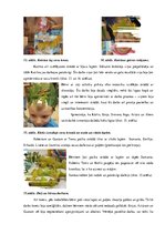 Diplomdarbs 'Vidējā pirmsskolas vecuma bērnu pašapkalpošanās prasmju sekmēšana rokdarbos', 45.