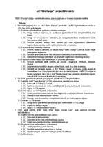 Konspekts 'AAS "Reso Europa" Latvijas filiāles mērķi', 1.