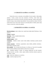 Paraugs 'Aprūpes plāns', 4.