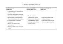 Paraugs 'Aprūpes plāns', 9.