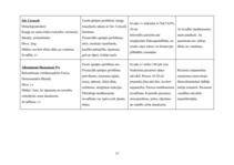 Paraugs 'Aprūpes plāns', 15.