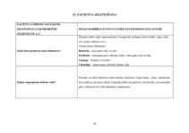 Paraugs 'Aprūpes plāns', 24.