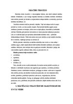 Referāts 'Mācīšanās traucējumi, to raksturojums', 2.