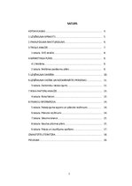 Biznesa plāns 'Biznesa plāns skolēnu mācību firmai', 2.