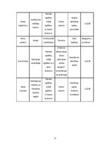 Biznesa plāns 'Biznesa plāns skolēnu mācību firmai', 13.