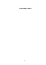 Biznesa plāns 'Biznesa plāns skolēnu mācību firmai', 21.