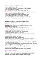 Konspekts 'Brāļi Kaudzītes "Mērnieku laiki"', 3.