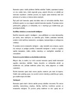 Eseja 'Komandas sports un sociālās prasmes skolēniem', 2.